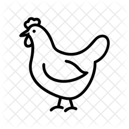 No chicken  Icon
