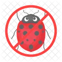 Ladybug Beetle Bug Icon