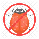 Ladybug Beetle Bug Icon