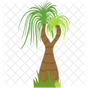 Nolina palm  Icon