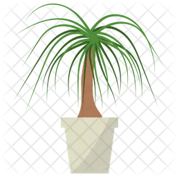 Nolina Potted Plant  Icon