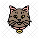 Nom Etiquette Chat Icône