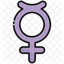 Non Binary Transgender Gender Genderqueer Icône