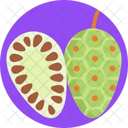 Noni Fruit  Icon
