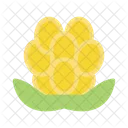 Nordic Berry Bakeapple Icon