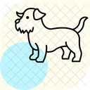 Norfolk Terrier Neontetrafish Pet Icon