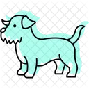 Norfolk Terrier Norfolkterrier Dog Icon