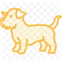 Norfolk Terrier Norfolkterrier Dog Icon