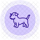 Norfolk Terrier Icon