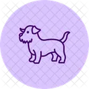 Norfolk Terrier Norfolkterrier Dog Icon