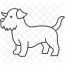 Norfolk Terrier Norfolkterrier Dog Icon