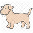 Norfolk Terrier Norfolkterrier Dog Icon