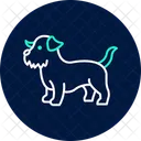 Norfolk Terrier Norfolkterrier Dog Icon