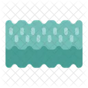 Nori Seaweed Algae Icon