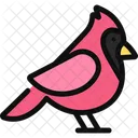 Northern Cardinal Bird Wildlife Icon