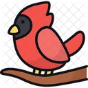 Northern Cardinal Bird Red Cardinal Icon
