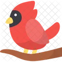Northern Cardinal Bird Red Cardinal Icon