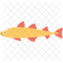 Northern Pike Fish Icon