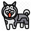 Norwegian Elkhound Dog Icon