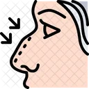 Nose Face Surgery Icon