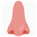 Nose Nostrils Smell Organ Icon