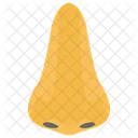 Nose Sense Of Smell Smelling Organ Icon