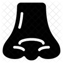 Nose Face Rhinoplasty Icon