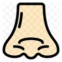 Nose Face Rhinoplasty Icon