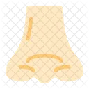 Nose Face Rhinoplasty Icon