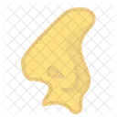 Nose Aroma Orgon Icon
