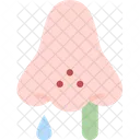 Nose  Icon