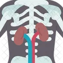 Nuclear Medicine Imaging Icon