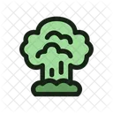 Nuclear Bomb Atomic Icon