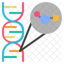 Nucleotide Gene Dna Biology Genetic Science Icon