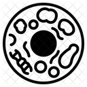 Nucleus Icon