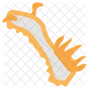 Nudibranch  Icon