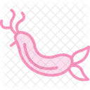 Nudibranch Ocean Marine Icon