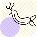 Nudibranch Ocean Marine Icon