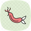 Nudibranch Ocean Marine Icon