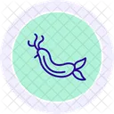 Nudibranch Ocean Marine Icon