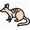 Numbat 포유류 줄무늬 아이콘