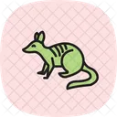 Taub Symbol