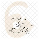 Numero Gato 6 Icon