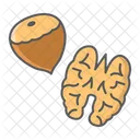 Nut Hazelnut Walnut Icon
