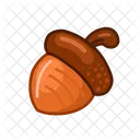 Nut Food Meal Icon