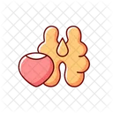 Nut Acorn Nut Acorn Icon