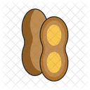 Nut Icon