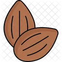 Nut  Icon