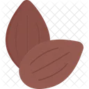Nut Food Fruit Icon