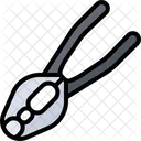 Nut Nutcracker Icon